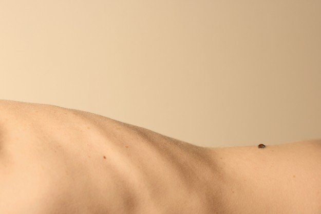 Flexibilidad para tu cuerpo y tu vida – Terapia Gestalt Flexibilidad para tu cuerpo y tu vida - Terapia Gestalt