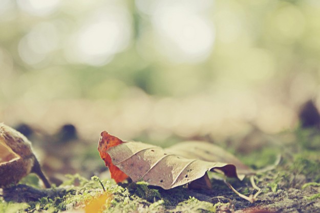 Your time de Vida Dimovska en Flickr